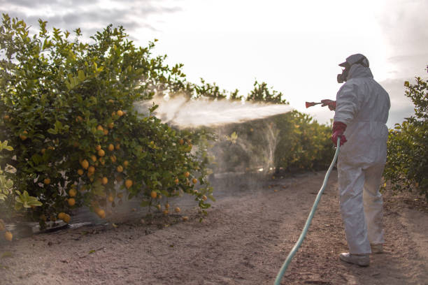 Pest Control for Restaurants in Jamestown, CA